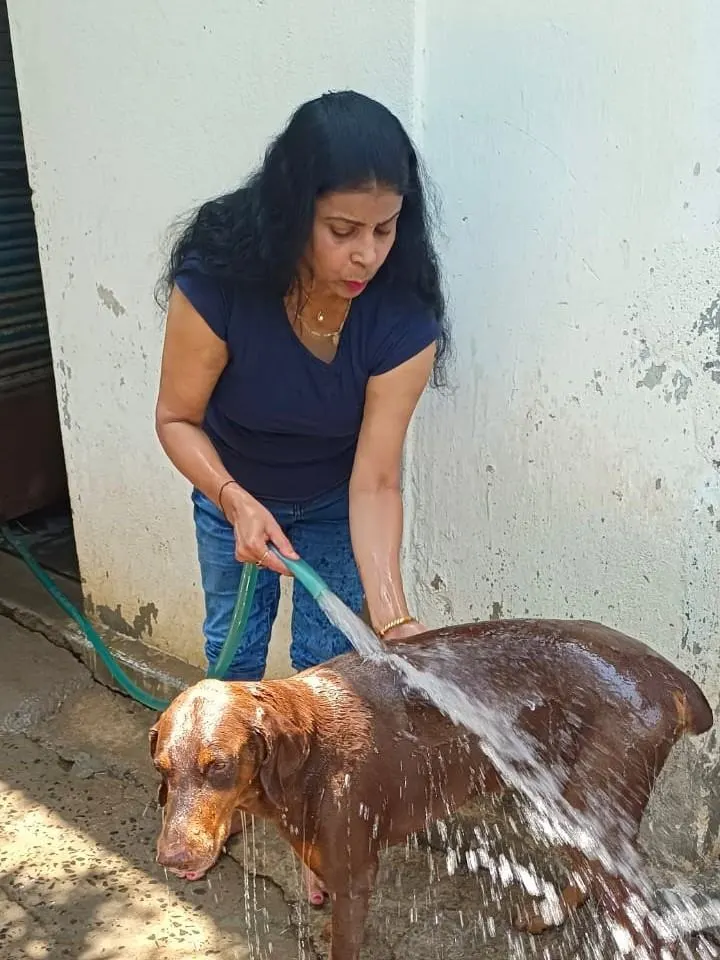 Animal welfare moment 5
